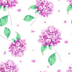 石榴花