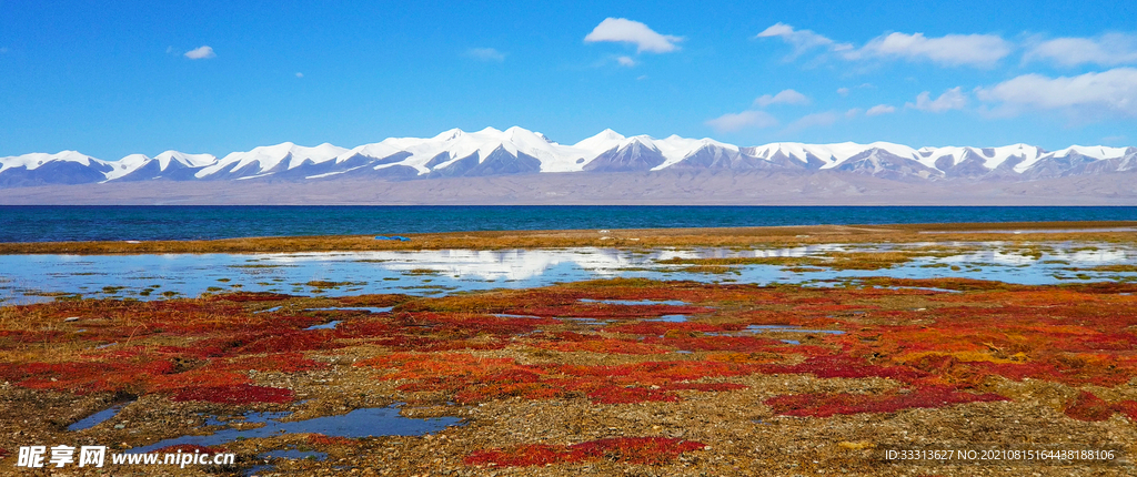 青海哈拉湖