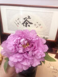 鲜花