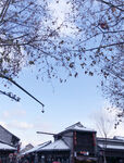 雪后