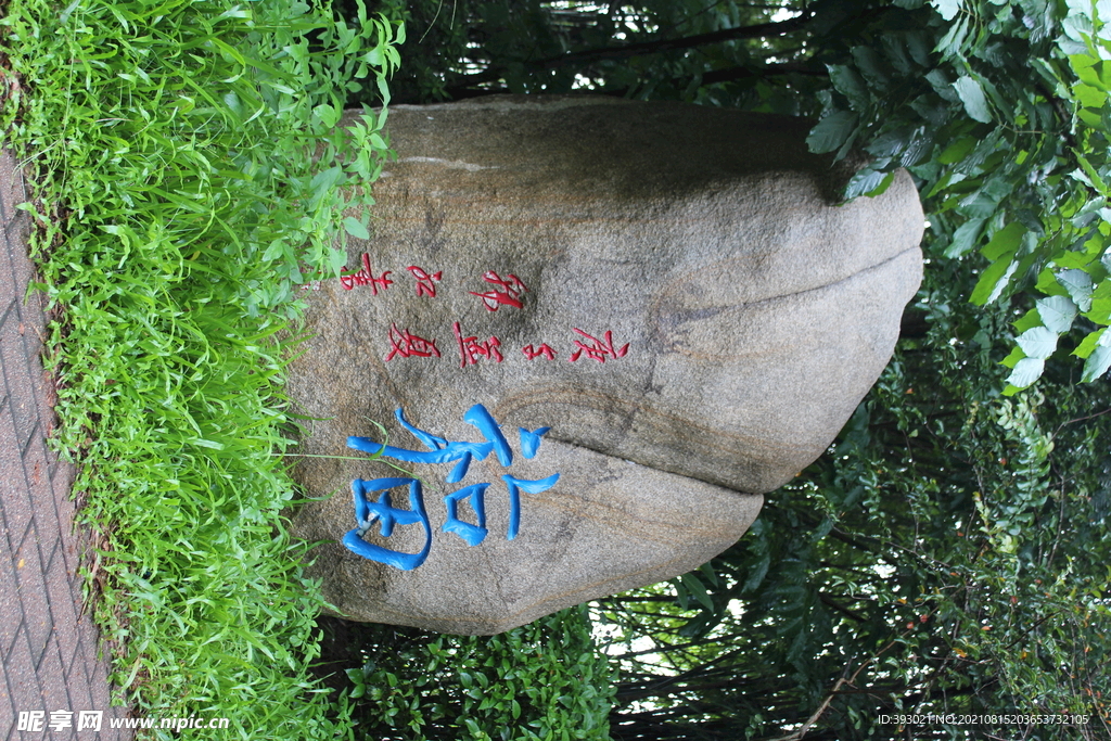 是福啊