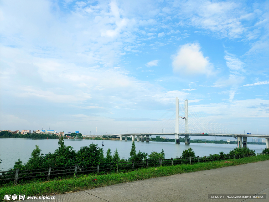 顺德江边风景