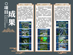 项目成果展