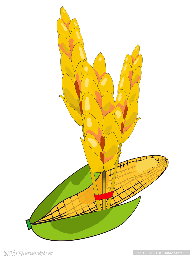 玉米粮食插画