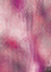紫红血色脉络抽象背景