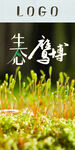 生态鹰博
