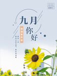 九月你好