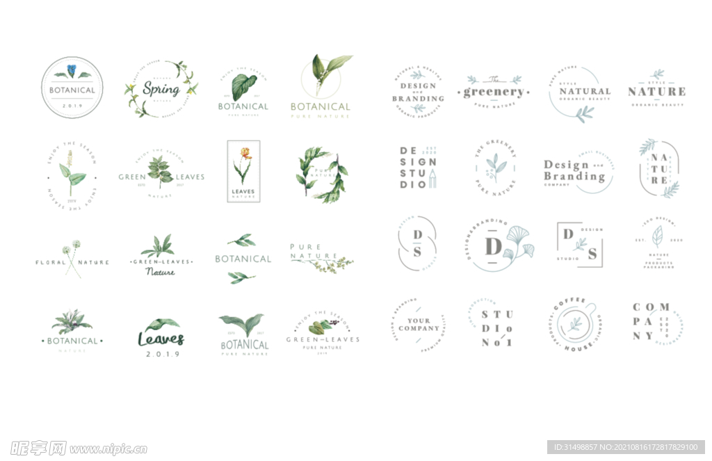 简约手绘花草logo
