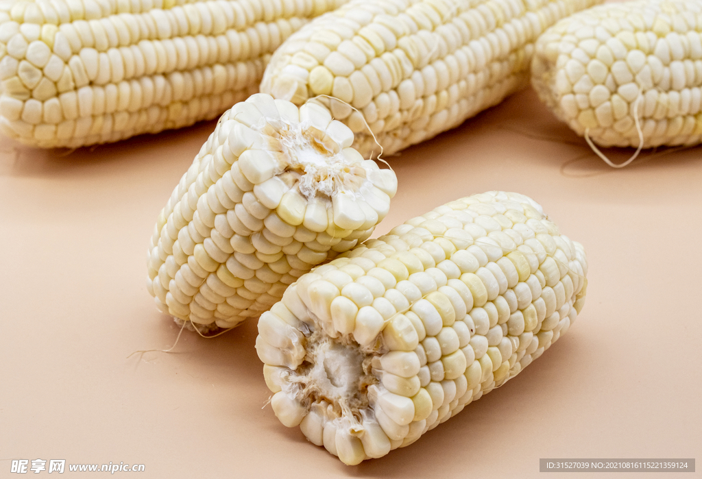 玉米高清大图