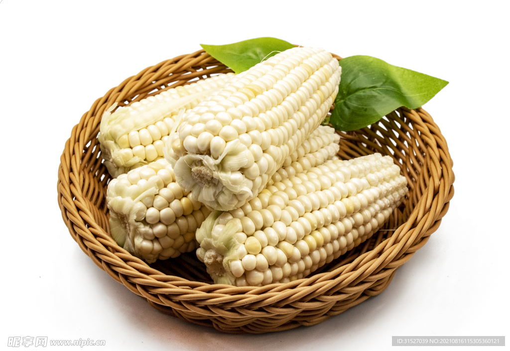 白玉米素材图
