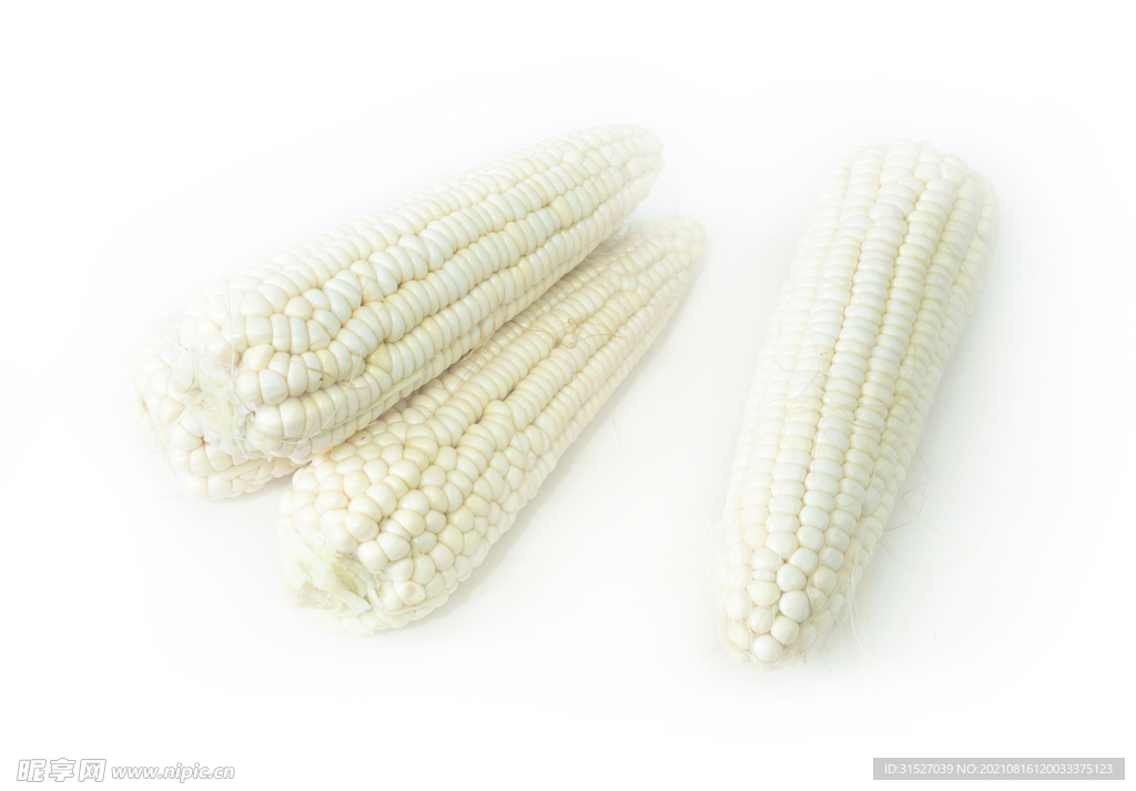 白玉米食材摄影图