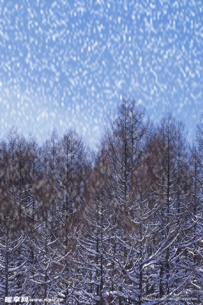 雪花
