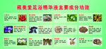 精华液成分