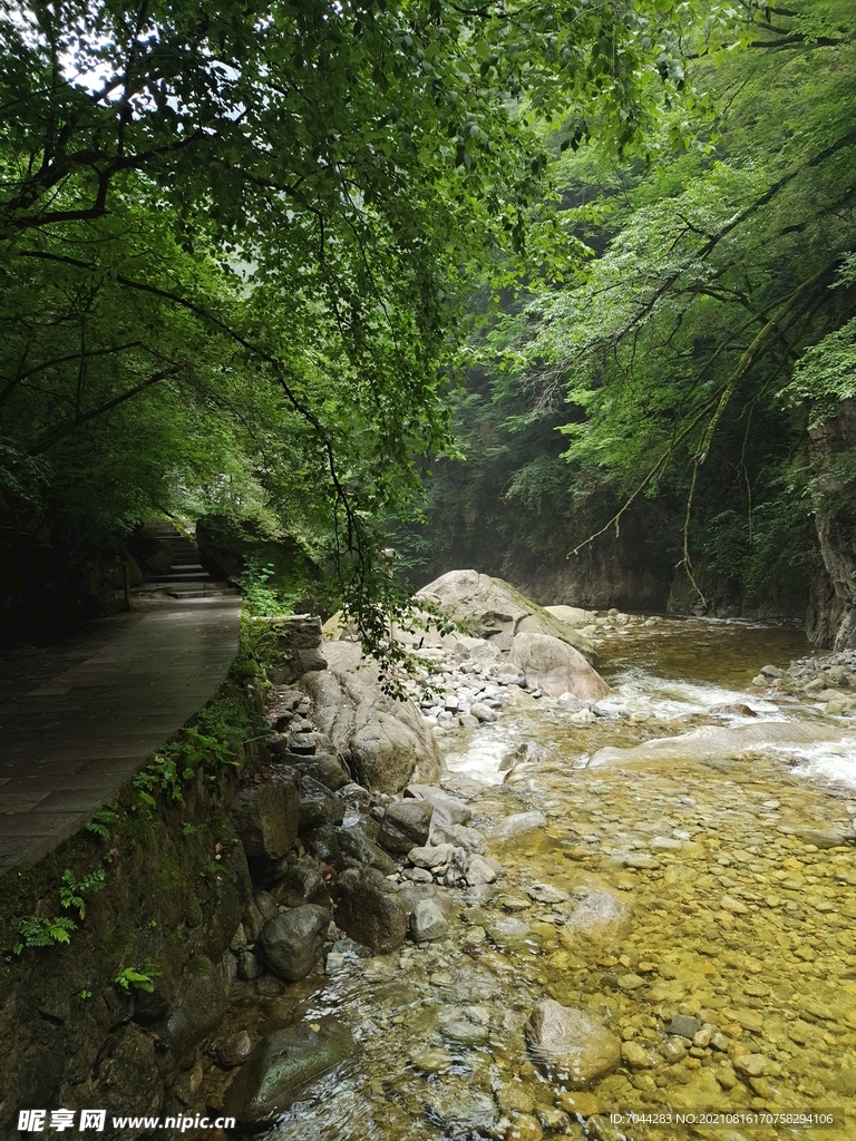 风景