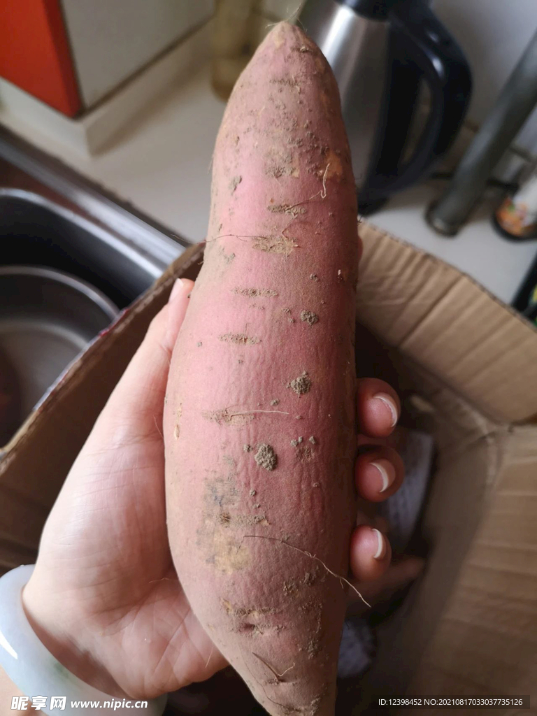 红薯