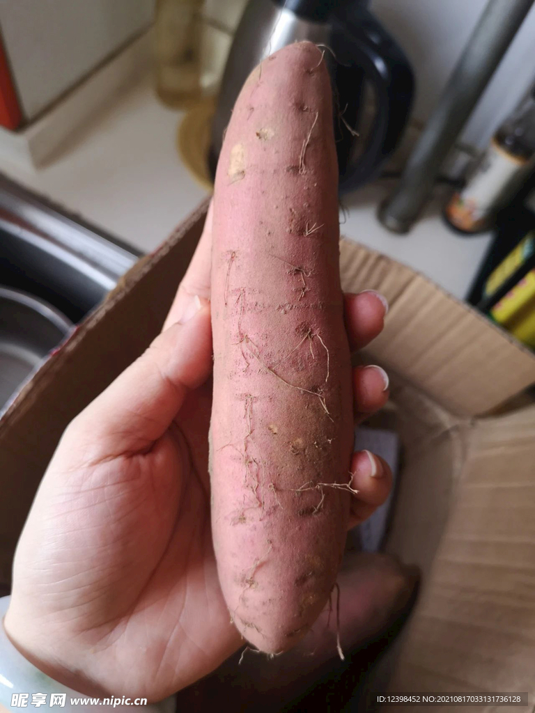 红薯