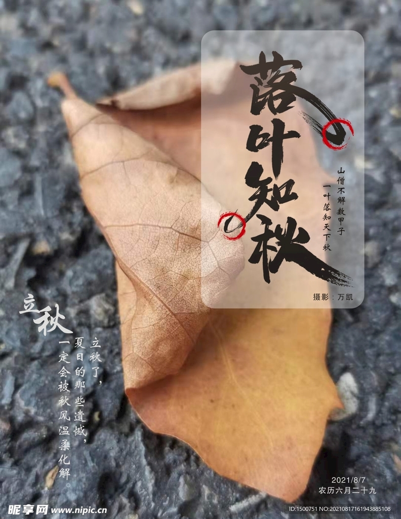 落叶知秋