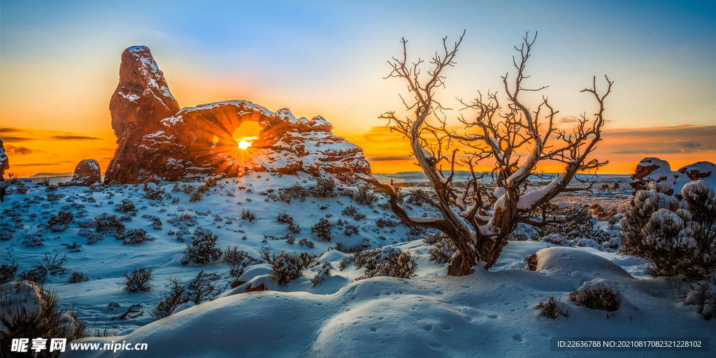 雪景