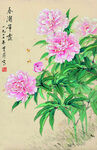 春朝带露