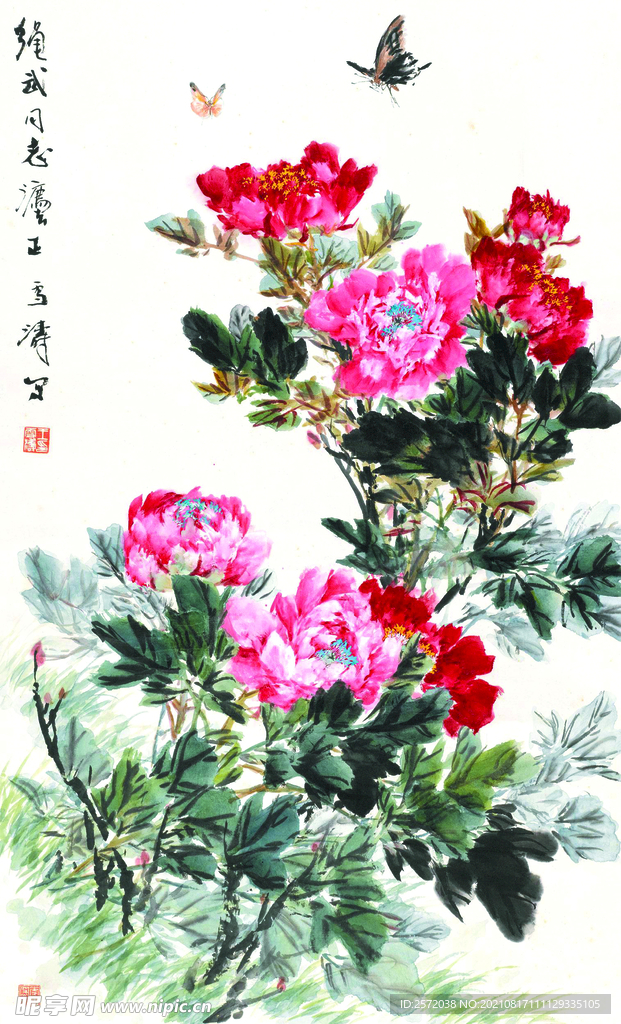 牡丹蝴蝶.