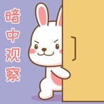 可可兔            