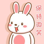 可可兔            