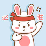 可可兔            