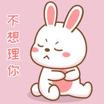 可可兔            