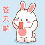 可可兔            