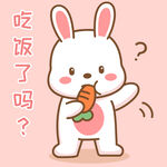 可可兔            