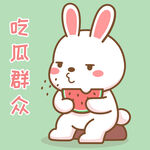 可可兔            