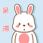 可可兔            