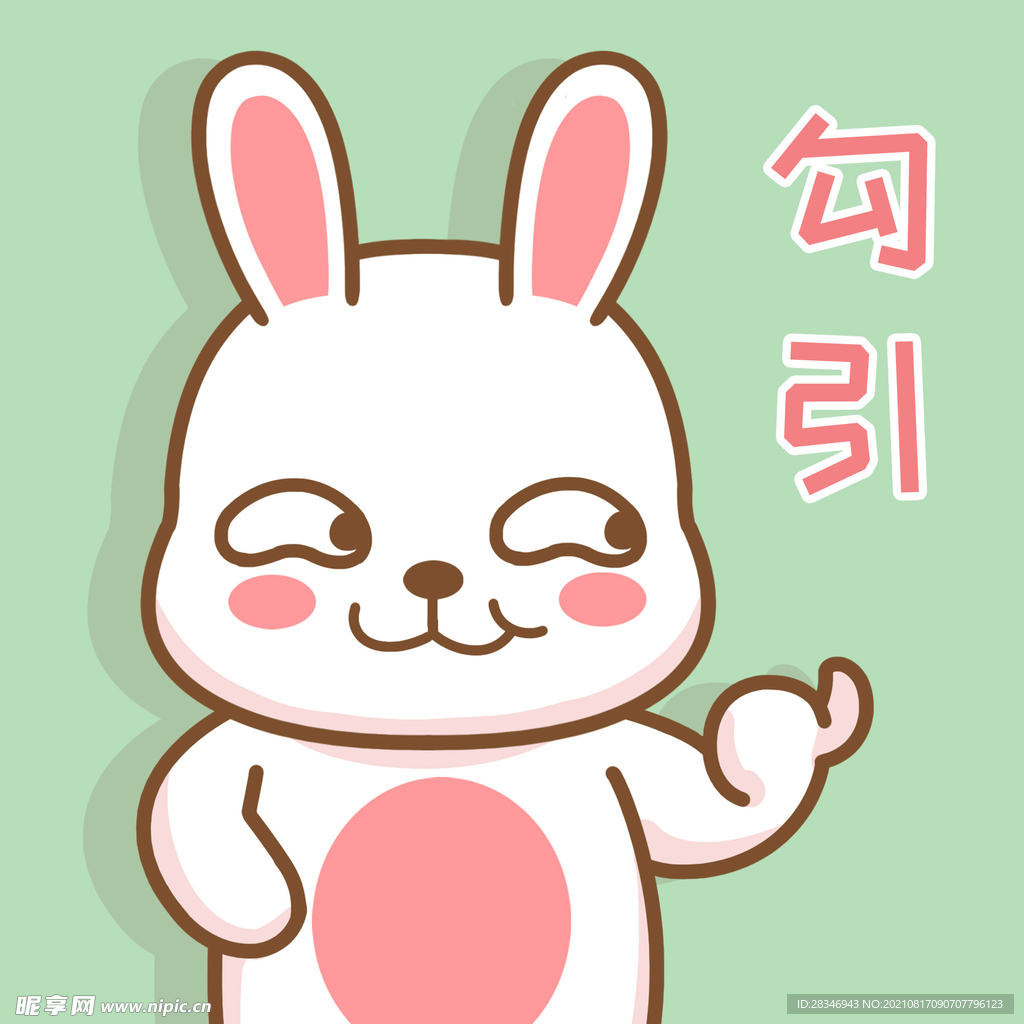 可可兔            
