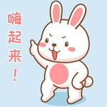 可可兔            