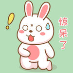 可可兔            