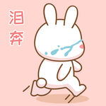 可可兔            