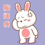 可可兔            