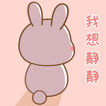 可可兔            