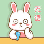 可可兔            