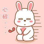 可可兔            