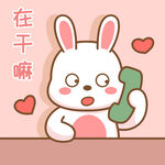 可可兔            