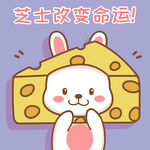 可可兔            