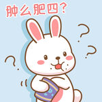 可可兔            