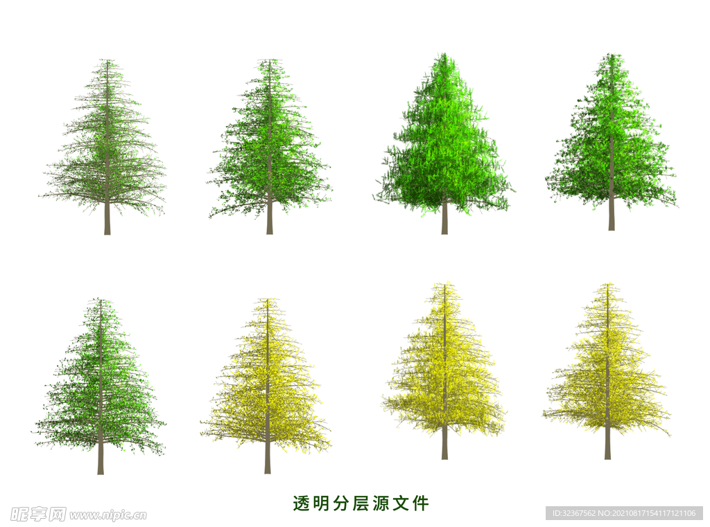 云杉