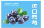 蓝莓 海报