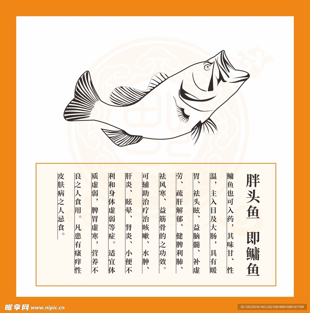 胖头鱼介绍