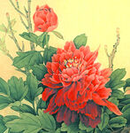 花语
