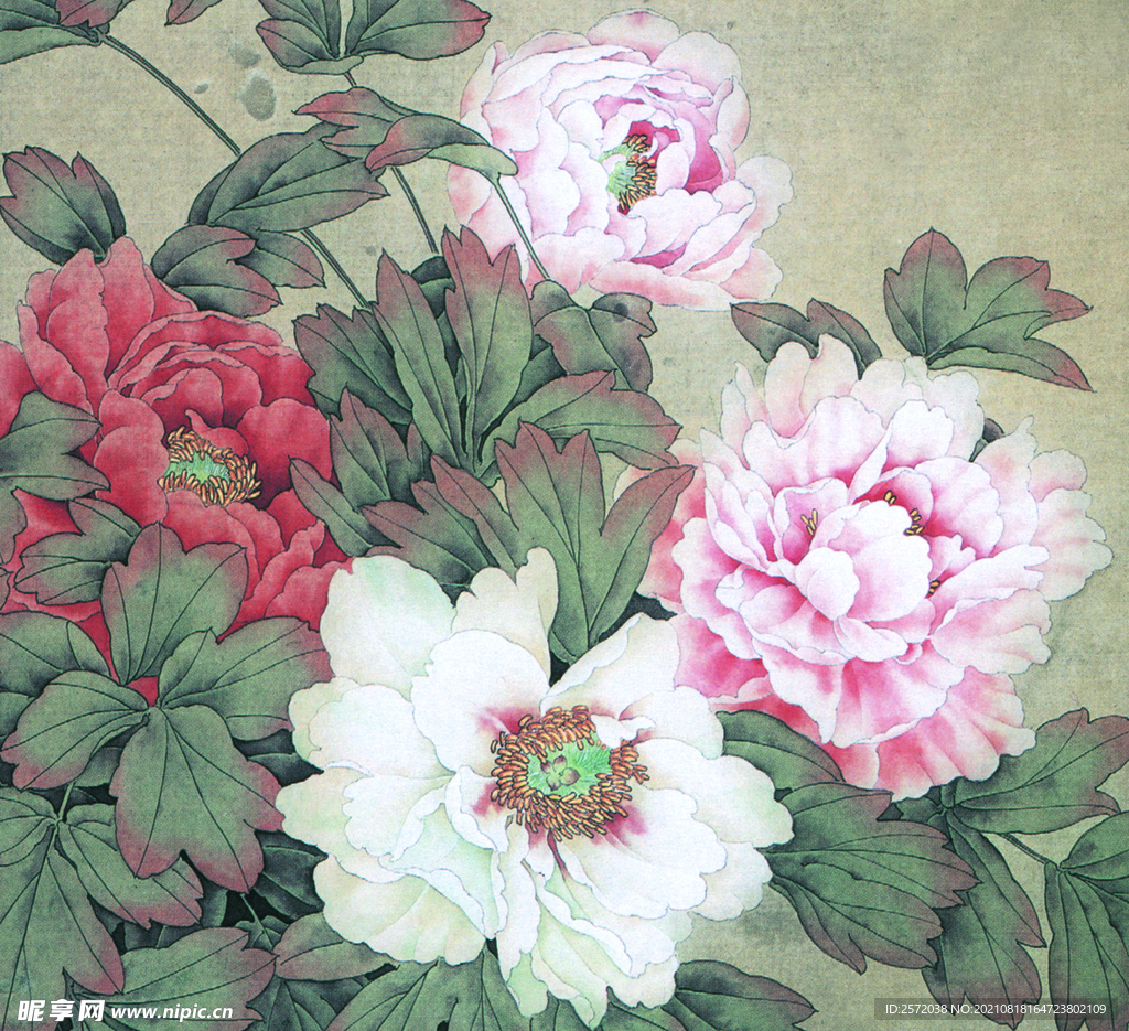 花语