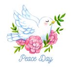 国际和平日白鸽
