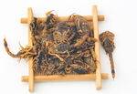 中药材 全蝎